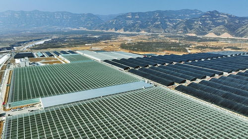 科技賦能，產(chǎn)業(yè)升級(jí) 山西陽曲農(nóng)業(yè)產(chǎn)業(yè)化的創(chuàng)新實(shí)踐