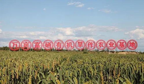 山西農業大學領導深入考察有機旱作關鍵技術與試驗示范基地，推動農業技術研究創新